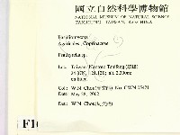 登錄號:F0016064藏品圖，第2張