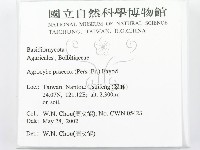 登錄號:F0016065藏品圖，第2張