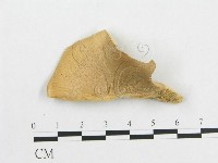 登錄號:F0016070藏品圖，第4張