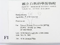 館號:F0016072藏品圖，第2張