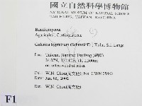 登錄號:F0016079藏品圖，第2張