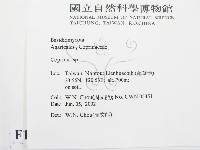 鬼傘屬藏品圖，第2張