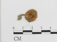 登錄號:F0016083藏品圖，第1張