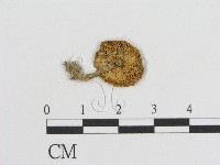 登錄號:F0016083藏品圖，第3張