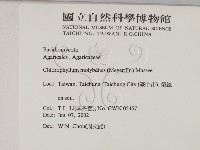 登錄號:F0016084藏品圖，第2張