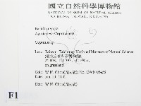 鬼傘屬藏品圖，第2張