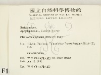 登錄號:F0016087藏品圖，第2張