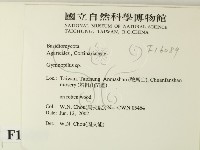 登錄號:F0016089藏品圖，第2張