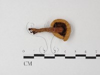 登錄號:F0016089藏品圖，第1張