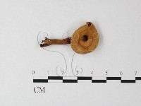 登錄號:F0016089藏品圖，第3張