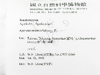 登錄號:F0016090藏品圖，第2張