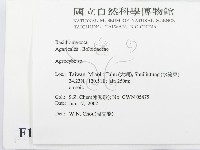 登錄號:F0016095藏品圖，第2張