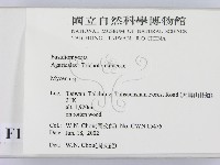 小菇屬藏品圖，第2張