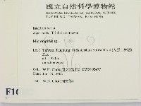 登錄號:F0016097藏品圖，第2張