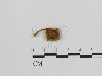 登錄號:F0016097藏品圖，第3張