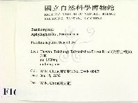 登錄號:F0016098藏品圖，第2張