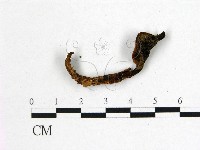 登錄號:F0016098藏品圖，第1張