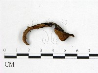 登錄號:F0016098藏品圖，第3張