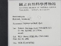 登錄號:F0016099藏品圖，第2張