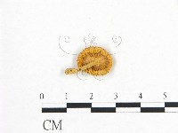 登錄號:F0016102藏品圖，第1張