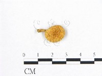 登錄號:F0016102藏品圖，第3張