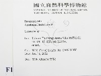 登錄號:F0016103藏品圖，第2張