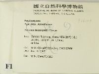 登錄號:F0016104藏品圖，第2張