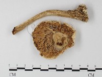 登錄號:F0016104藏品圖，第3張