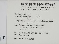 登錄號:F0016105藏品圖，第2張