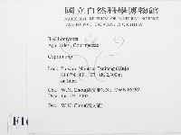 鬼傘屬藏品圖，第2張