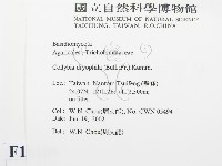 登錄號:F0016109藏品圖，第2張