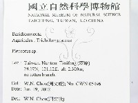 登錄號:F0016110藏品圖，第2張