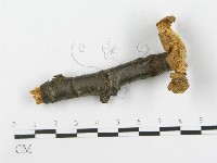 登錄號:F0016110藏品圖，第1張