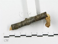 登錄號:F0016110藏品圖，第3張