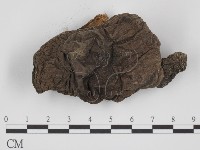 登錄號:F0016112藏品圖，第3張