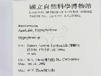 登錄號:F0016113藏品圖，第2張