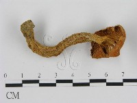 登錄號:F0016113藏品圖，第1張