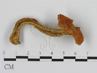 登錄號:F0016113藏品圖，第3張