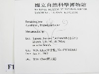 微皮傘屬藏品圖，第2張