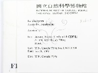 傘菌屬藏品圖，第2張