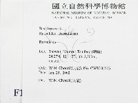 紅菇屬藏品圖，第2張