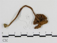 登錄號:F0016118藏品圖，第3張