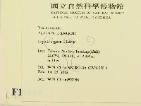 登錄號:F0016119藏品圖，第2張