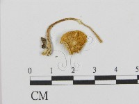 登錄號:F0016119藏品圖，第3張