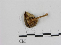 登錄號:F0016120藏品圖，第3張