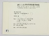 小菇屬藏品圖，第2張