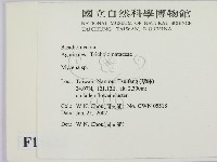 小菇屬藏品圖，第2張