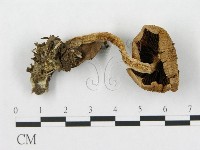 登錄號:F0016130藏品圖，第1張