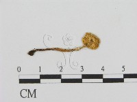 登錄號:F0016131藏品圖，第1張