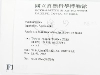 登錄號:F0016132藏品圖，第2張